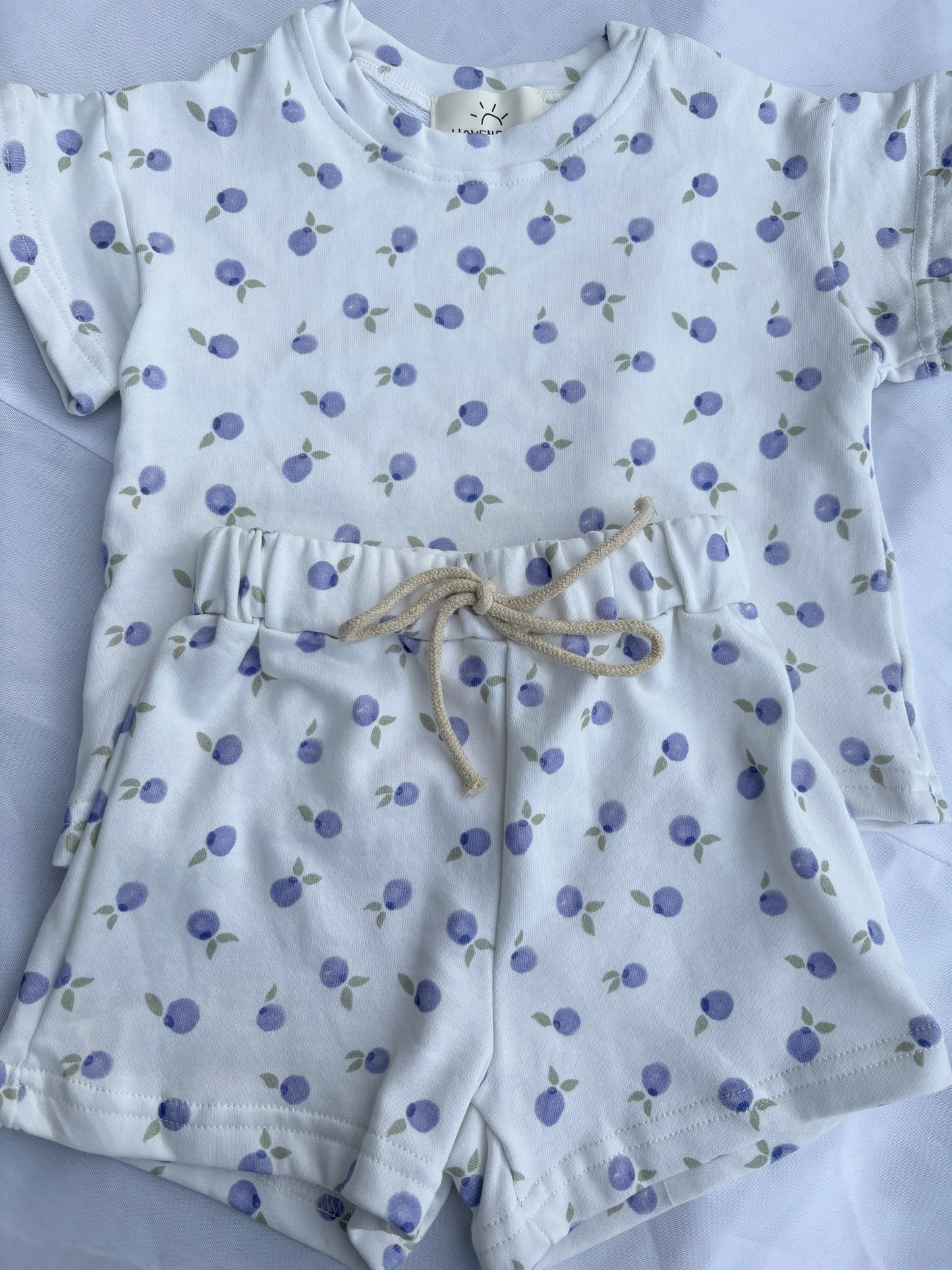 Blueberry Cotton Two Piece Short Sleeve Set